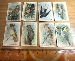 Lot Of 8 Church & Dwight Baking Soda Cards Useful Birds of America Tenth Series - Picture 1 of 6