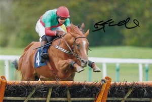 Horse Racing - Brendan Powell -Signed 12x8 Photograph - COA - Picture 1 of 1