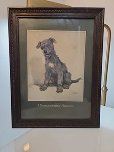 Vintage Cecil Aldin Framed And Mounted Mongrel Dog Print - Picture 1 of 24