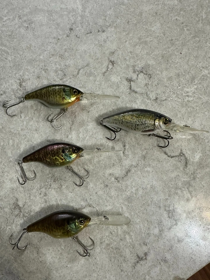 Crankbaits Jackall Gillcra y Yokozuna Ryoshi Foto 1 de 1