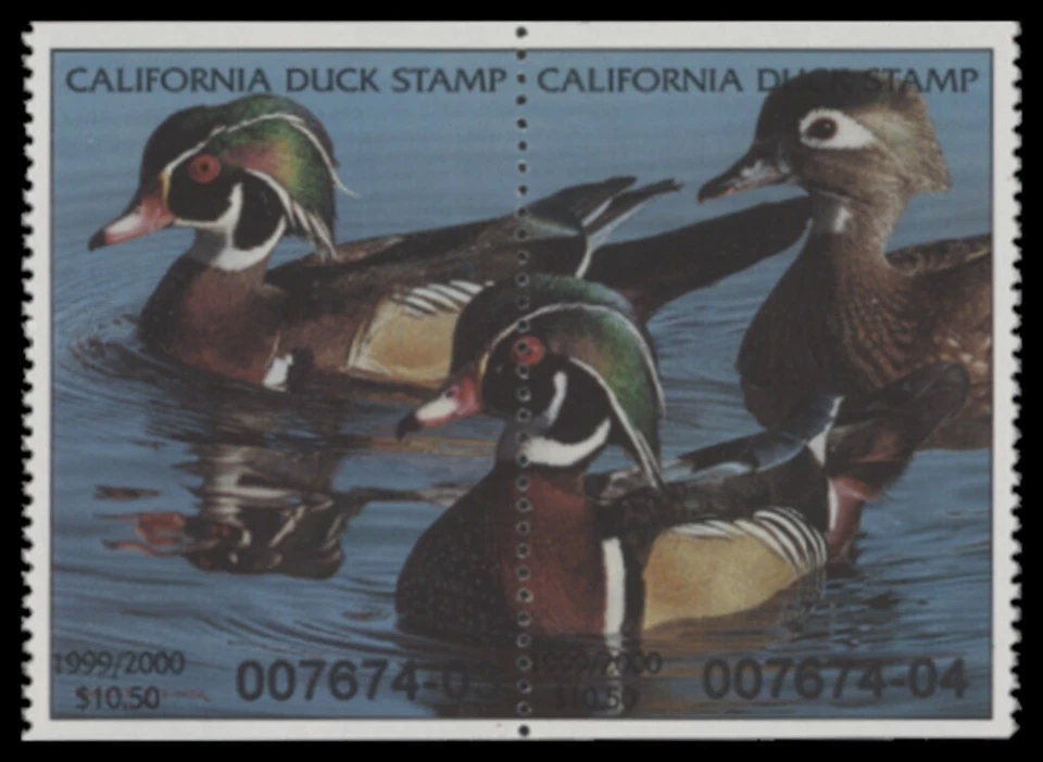 1999  California State Duck Stamp. MInt Never Hinged. Original Gum.   - Image 1 of 1
