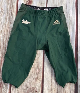 Adidas Fußballhose grün South Florida Bulls ungepolstert Kordelzug Größe L - Bild 1 von 8