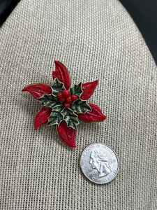 Vintage Weihnachtsfeiertag Weihnachtsstern Blume Anstecknadel Brosche religiös Maria Madonna - Bild 1 von 7
