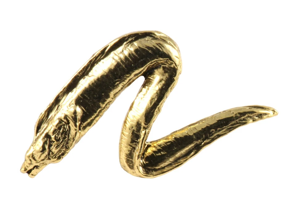 Pin de solapa o imán de nevera Creative Pewter Designs Muraenidae Moray Anguila, S102 Foto 1 de 1