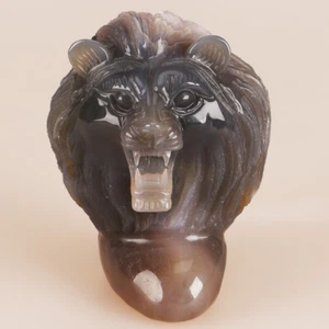 3.8" Natural Geode Agate Quartz Crystal Hand Carved Lion Head Animal 628g - Picture 1 of 8