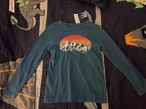 Crewcuts (J Crew)  Boys Long Sleeve T-Shirt Mountain Graphic Blue XS 4/5 - Picture 1 of 3