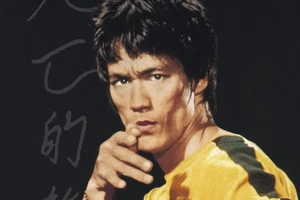 Bruce Lee Vintage Artes Marciales Reimpresión - Leyenda de Kung Fu - Imán Brillante 4x6 - Imagen 1 de 5