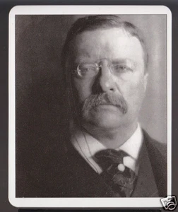 PRÄSIDENT THEODORE ROOSEVELT 26. PORTRAIT SAMMELKARTE - Bild 1 von 1
