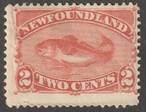 New foundland, stamp, Scott#78, mint, hinged, 2 cents, orange, #QN-48