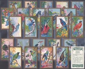 ABDULLA-FULL SET- FEATHERED FRIENDS 1935 (25 CARDS) EXCELLENT - Picture 1 of 4