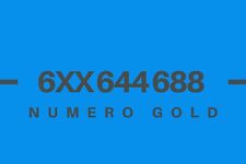Numero Gold/Fácil 6XX 644 688