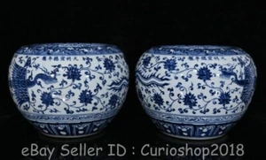 9.6" Ming Xuande Chinese Blue White Porcelain Flower Phoenix Apple Zun Jar Pair - Picture 1 of 8