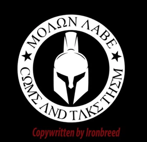 Molon Labe Come And Take Them Vinyl Decal Sticker Car Truck Window 2nd Amendment - Picture 1 of 16