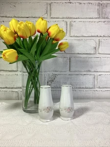 Johann Haviland FLORAL SPLENDOR Salz & Pfefferstreuer Bavaria 4" - Bild 1 von 8