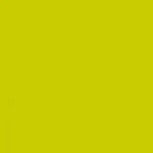 20 Tischdecke Kiwi aus Linclass® Airlaid 80 x 80 cm - Einweg Mitteldecke - Bild 1 von 1