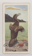 1963 Brooke Bond Wildlife in Danger Tea Galapacos Flightless Cormorant #26 0e3