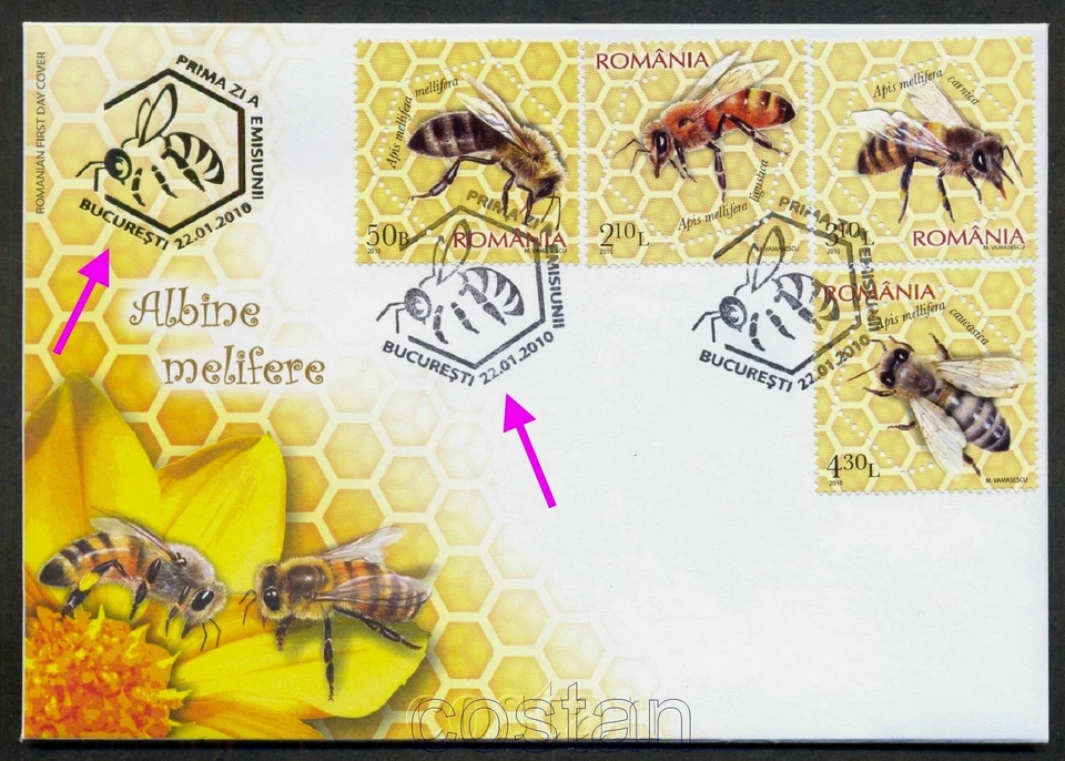 2010 Honey Bees,Apis melifera,Biene,Abeilles,Miel,Abeja,Romania,6406/special-FDC - Image 1 of 1