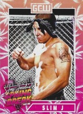 Slim J GCW Joey Janela's Spring Break Official Trading Card #5 ROH Pro Wrestling