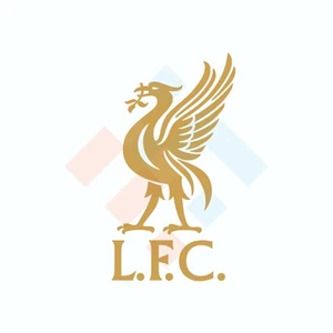 GOLD LIVERPOOL FC LFC VINYL DECAL STICKER CHAMPIONS LEAGUE 95mm x 175mm Car - Picture 1 of 3
