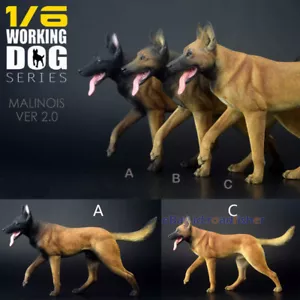 1/6 Perro de Trabajo Belga Malinois Figura Mascota Animal Modelo Decoración Pintado Niños Juguetes - Imagen 1 de 21