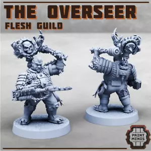 28mm The Overseer - Flesh Guild (Heroic Scale) - Picture 1 of 1