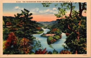 Postal TUCKASEIGEE RIVER Carolina del Norte NC lino sin usar - Imagen 1 de 2