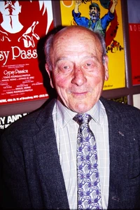 VINCENT SARDI, 1994, 35mm Slide - Picture 1 of 1