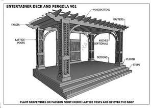 CUBIERTA DE ENTRETENIMIENTO AL AIRE LIBRE Y PÉRGOLA / PATIO DE VID DE UVA - V01 (Planos de construcción) - Imagen 1 de 8