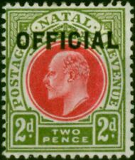 Natal 1904 2d Red & Olive-Green SG03 Fine & Fresh LMM