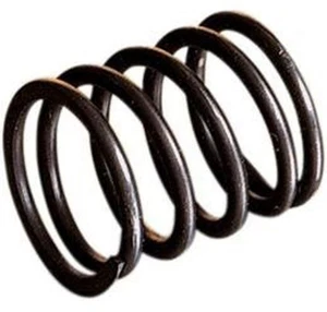 WSM Shaft Spring Watercraft PWC 010-453 327648 - Picture 1 of 4