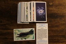 John Player Grandee tradeing cards complete sets choose from list