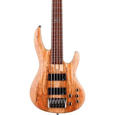 ESP LTD B-205SM 5-String Electric Bass Guitar Satin Natural - Image 1 of 4