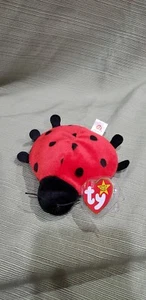 Ty Beanie Baby Lucky the Ladybug w/Errors 1993 PVC Style #4040 New & Retired - Picture 1 of 8