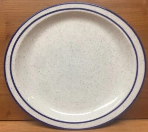 Syracuse China KINGS INN BLUE Speckle Stripe RESTAURANT 11" x 10"  Plate - Picture 1 of 3