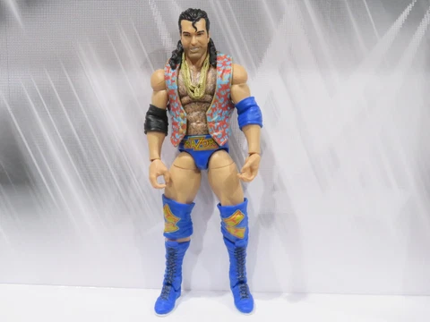 WWE Mattel Elite Legends 7 Razor Ramon Scott Hall Nwo Cover