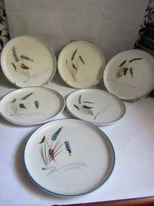 Vintage Denby Greenwheat 6er Set Salatteller signiert A College - Bild 1 von 4