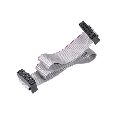 Cable Cinta Alambre Plano IDC FC/FC Conector tipo 12 Pines 2,54 Paso, 30cm largo - Imagen 1 de 4