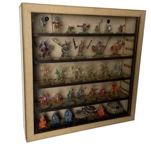 Display Case - Picture 1 of 6