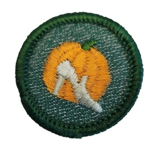 Girl Scout 1963-80 Cadette GOOD GROOMING BADGE Pumpkin Slipper Patch - Picture 1 of 5