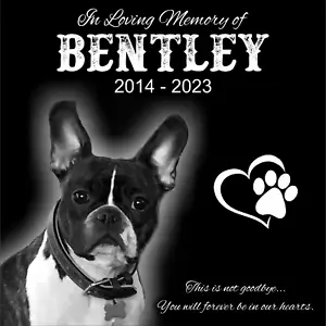 Personalized Pet Memorial Grave Marker Granite Plaque Human headstone dog 12x12 - Picture 1 of 24
