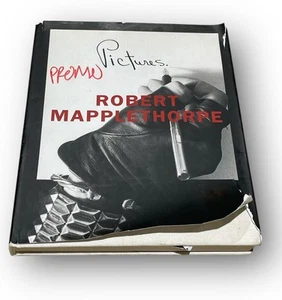 Robert Mapplethorpe : Pictures by Ingrid Sisehy (1999, Hardcover) 1st Edition - Picture 1 of 6