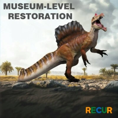 RECUR 1/42 Spinosaurus Dinosaur Model Collections Animal Figure Toys Gift Decor - Image 1 of 4