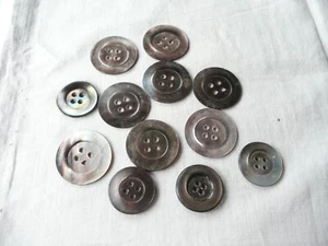 12 boutons anciens en nacre grise - Imagen 1 de 4