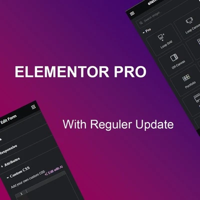 👉Elementor Pro💯 Configuración completa disponible (última versión + acceso de por vida) Foto 1 de 4