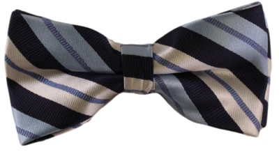 条纹领结 — 第 1/2 张图片