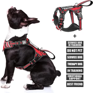 Servizio Gilet per Cani No Pull Imbracatura per Cani con 7 Patch per Cani, Imbracatura Riflettente per Animali Domestici  - Foto 1 di 7