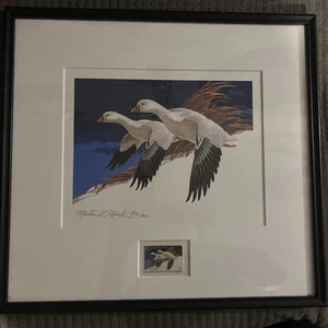 HTF! Martin Murk Federal Duck Stamp Art Print - Ross' Geese Framed 1977 RW44 WOW - Picture 1 of 3