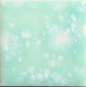 NEW Mayco Jungle Gems Crystal Glaze Crystalites 1 pint SEAFOAM CG-997 - Picture 1 of 3