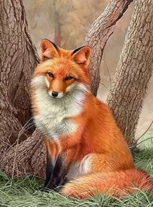 DIY 5D Fox Animal Diamond Art Painting Set, Craft Wall Art Decor 20x30cm - Picture 1 of 2