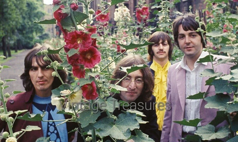 The Beatles in the Flowers Photo Print Poster John Lennon Paul McCartney - Image 1 of 1